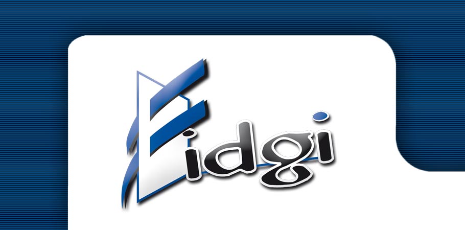 fidgi